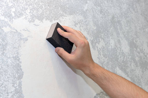 Best Biohazard Mold Removal  in Rensselaer, IN