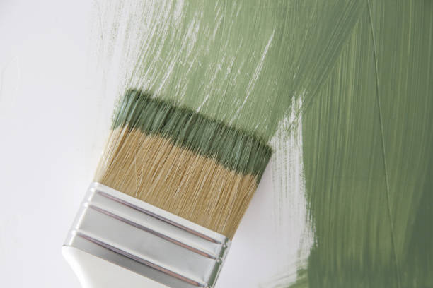 Best Mold Remediation for Vacation Homes  in Rensselaer, IN