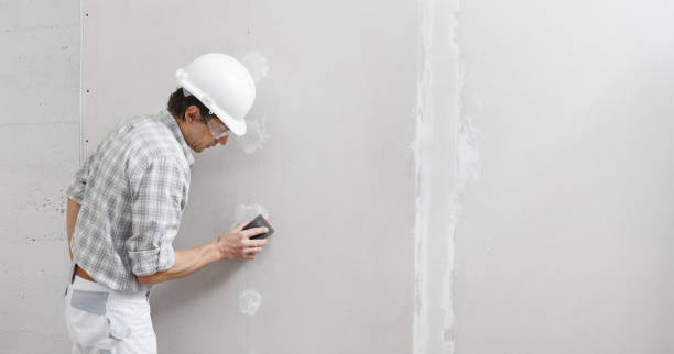 Best Mold Removal for HVAC Installations  in Rensselaer, IN