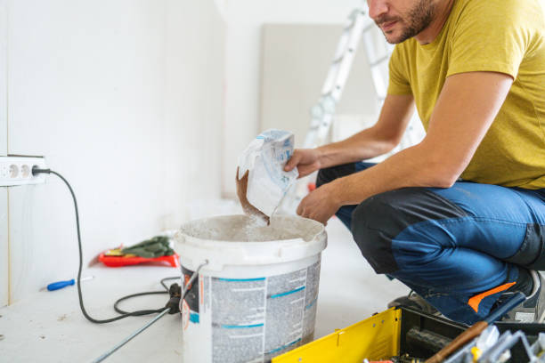 Best Water Damage & Mold Remediation  in Rensselaer, IN