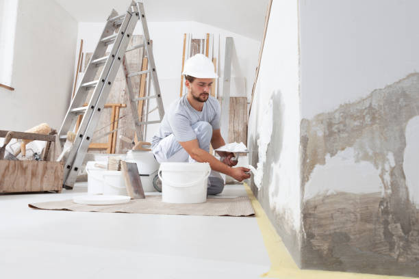 Rensselaer, IN Mold Removal Company
