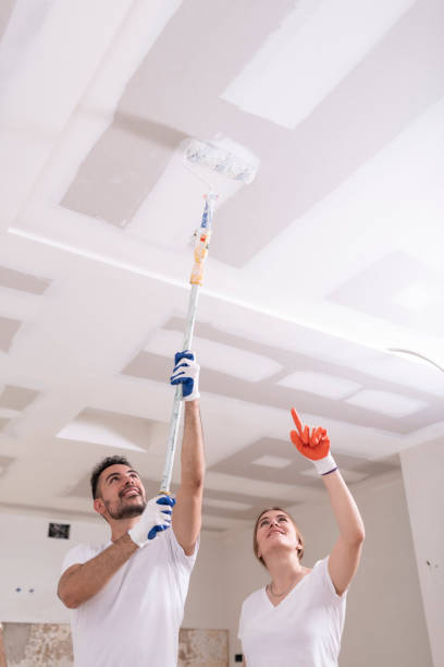 Best Dehumidification Services  in Rensselaer, IN
