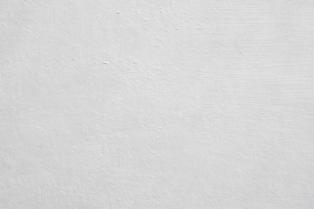 Best Mold Damage Restoration  in Rensselaer, IN