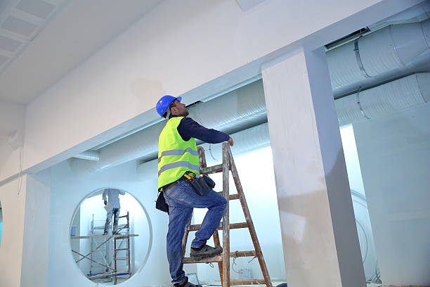 Best Asbestos and Lead Testing During Mold Inspection  in Rensselaer, IN