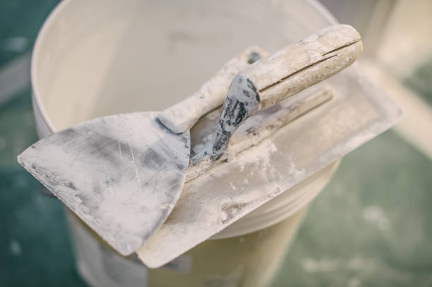 Best Forensic Mold Investigation  in Rensselaer, IN